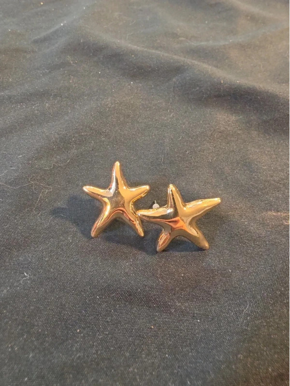 Earrings starfish
